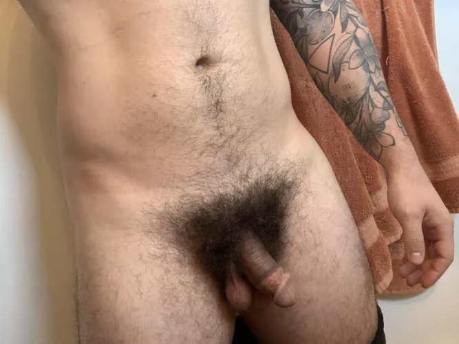 hows my bush looking?