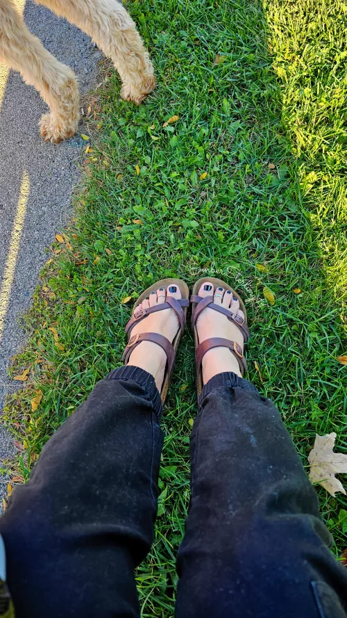 If you saw me out walking my dog, would you peek at my Birkenstocks? 😉