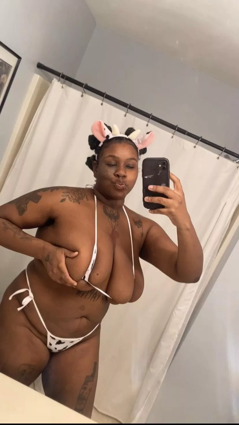 Just a good little cow who needs a farmer 