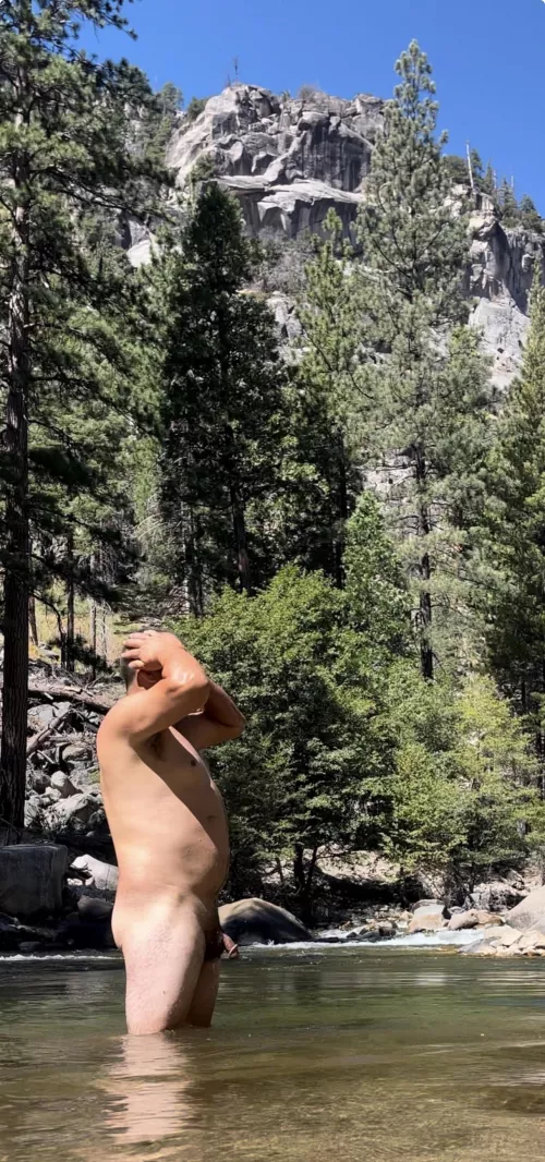 Little cock in woods