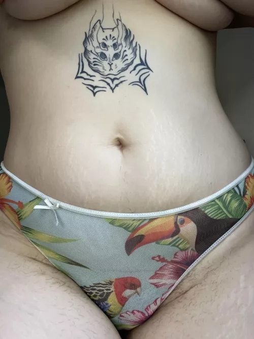 Look my little birds 