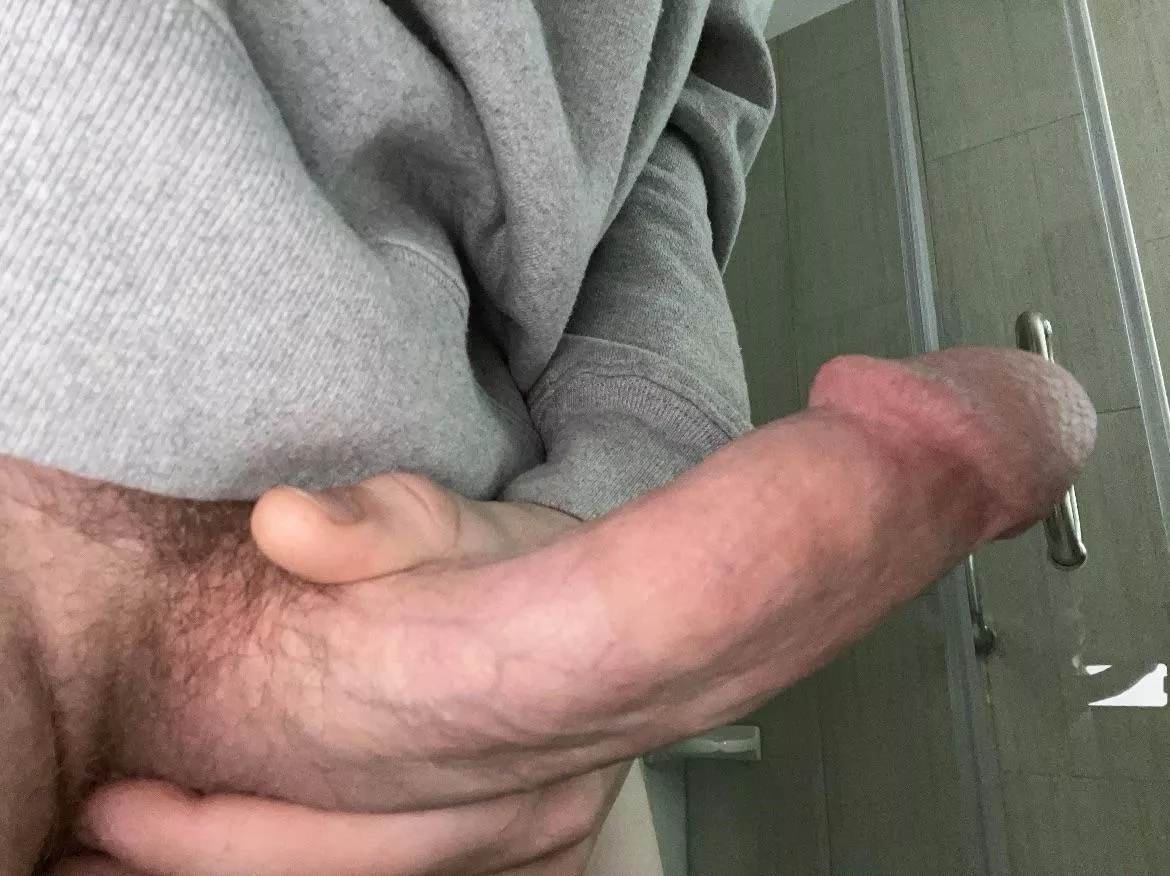 M20 bull in kato for a hookup