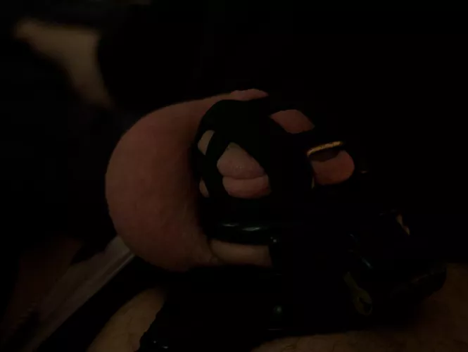 My keyholder says I have to keep posting these once a day till locktober ends. You have me locked till Nov 6th now. Every upvote is 1 more hour I stay caged.