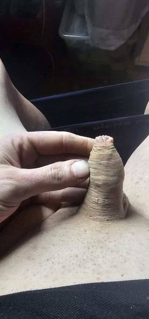 My tiny dick erect dms open[40]