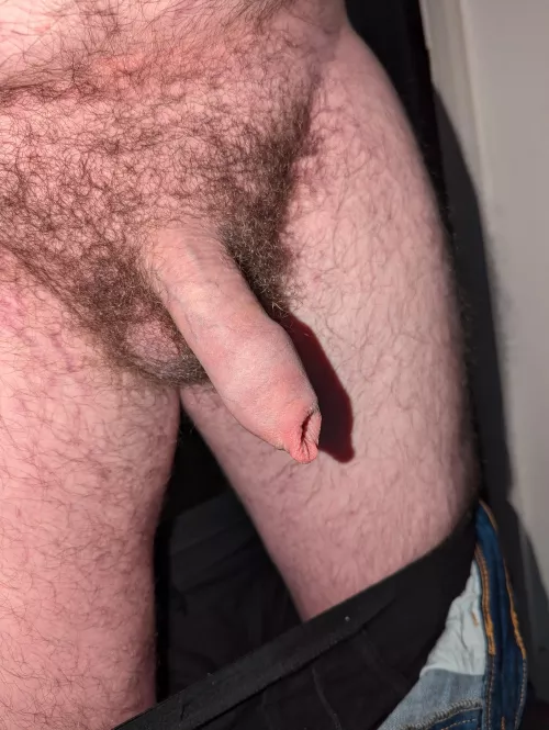 Need a shave 