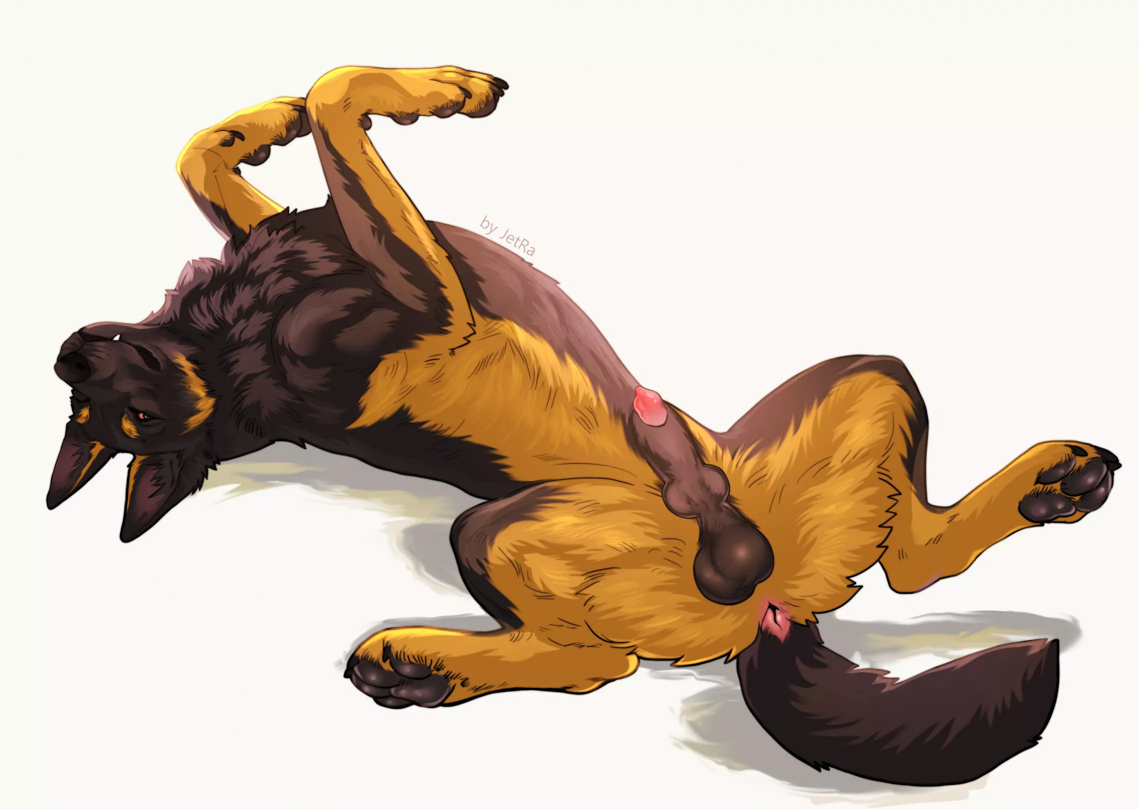 Shep boi (jetraraven) [M]