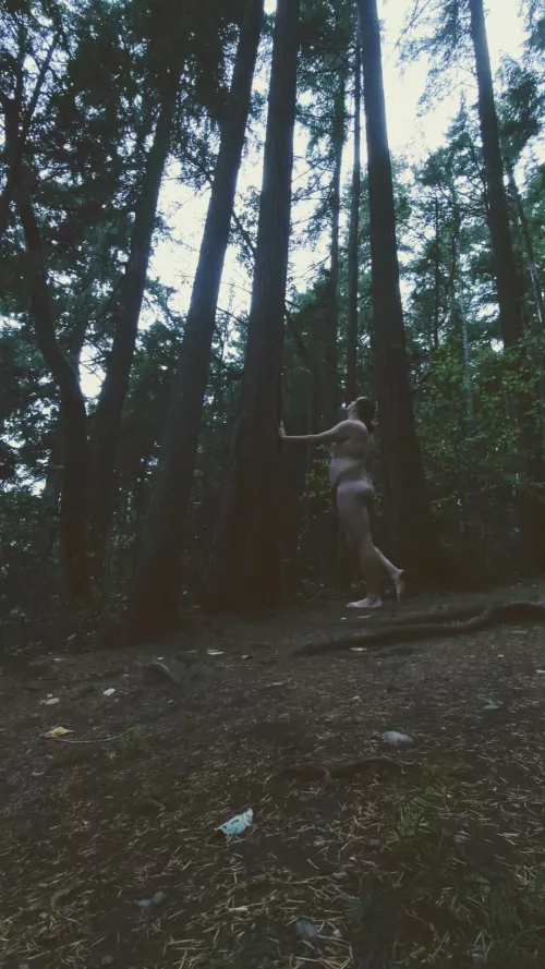 The trails are still quiet at dawn