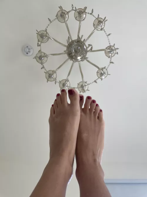 These MILF feet were made for sucking, and right now all they want is your weenie. [oc]

