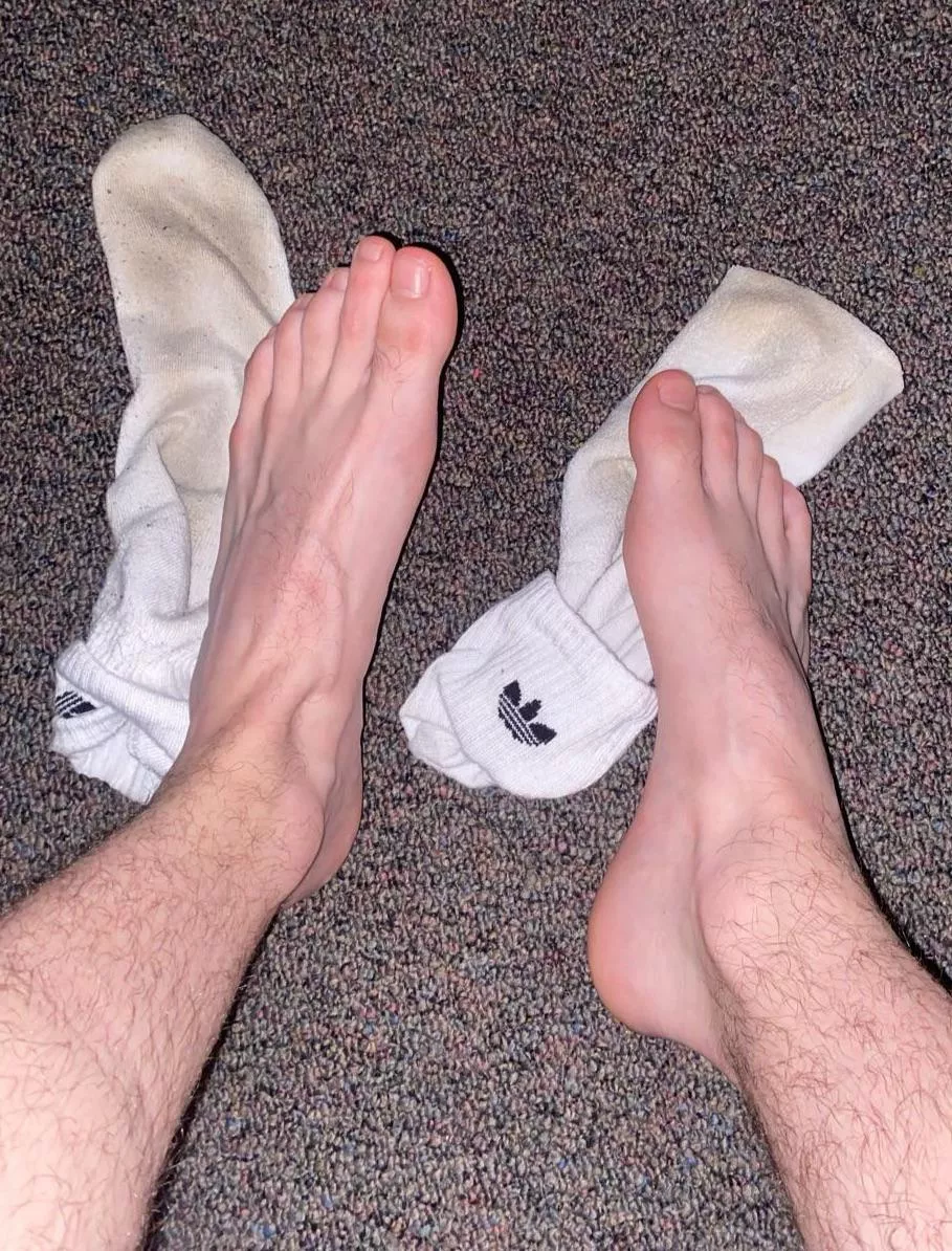 these socks were white in the morning….