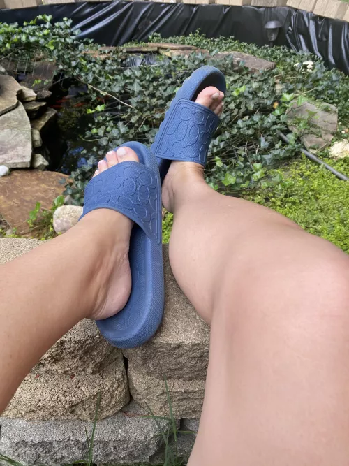 What has your attention 