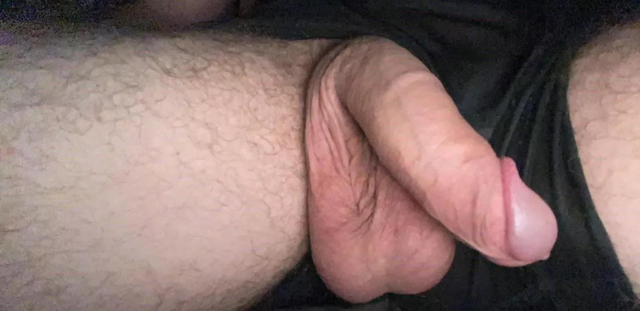 25m Trumbull 4 MF or F