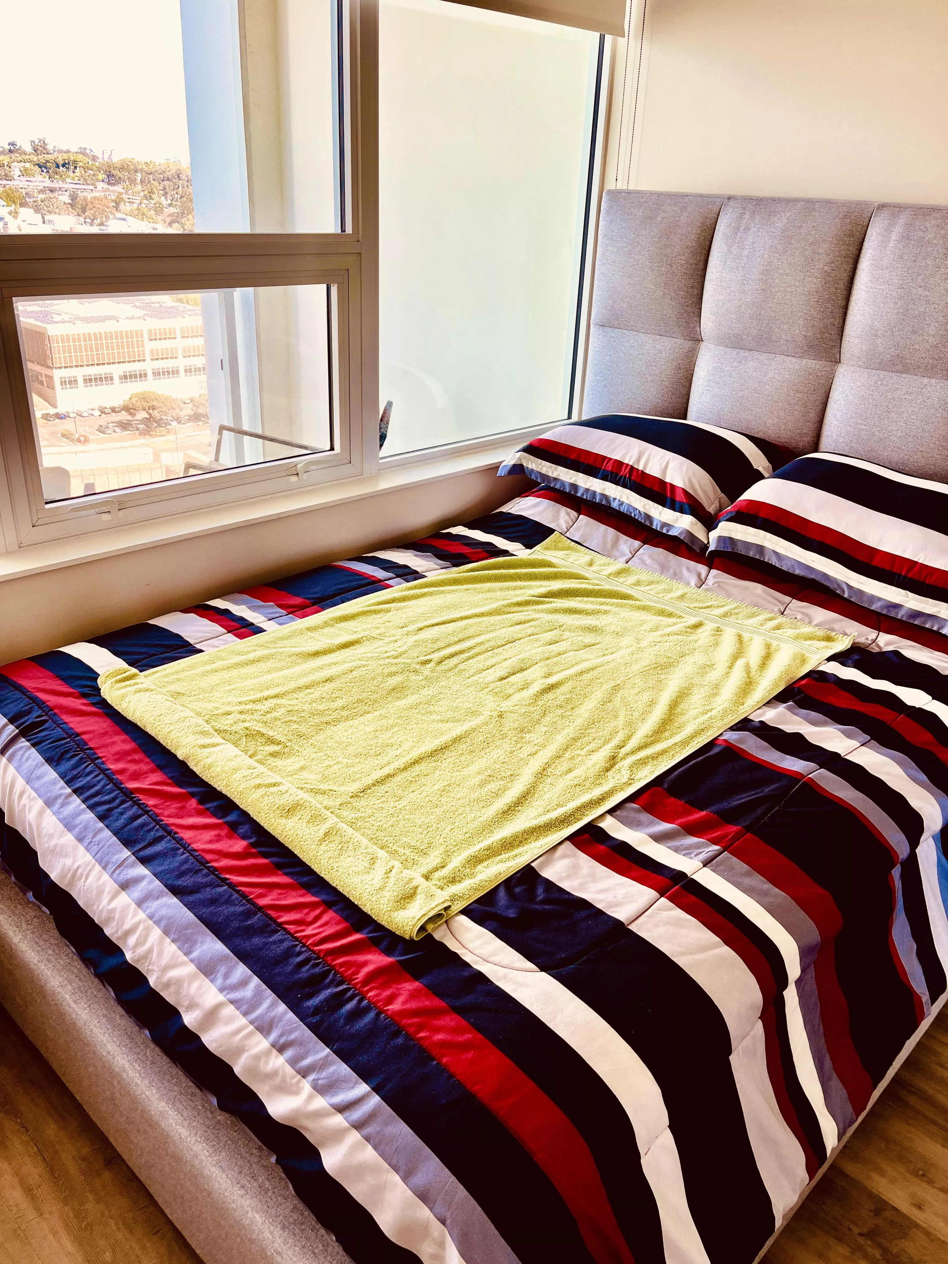 [38 M] San Diego - Black cub loves daddy bear bods