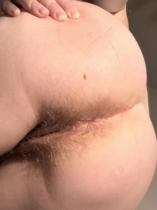 By the way, I was just in the toilet [bfb]