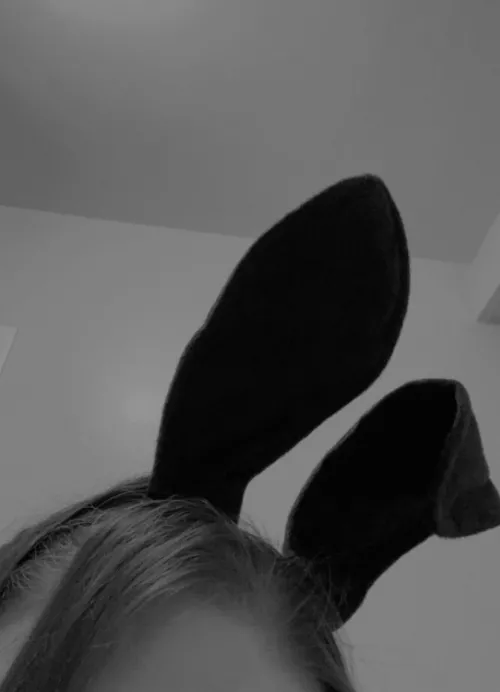 HAPPY HALLOWEEN FRIENDS!🍁🍂🐰🍬