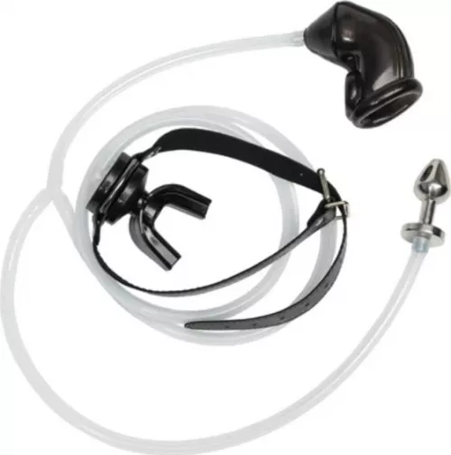 Have any of you tried a toy like this? What was it like? Is it worth getting one? 