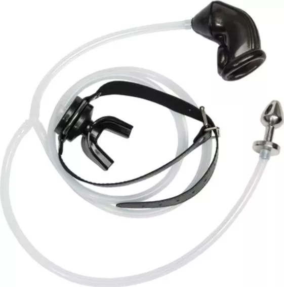 Have any of you tried a toy like this? What was it like? Is it worth getting one? 