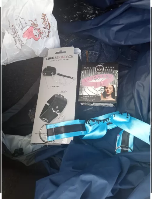 Hey Houstonian do anyone know place that customize collar, leashes, neck ties, and chokers I want to get a few for some subs.