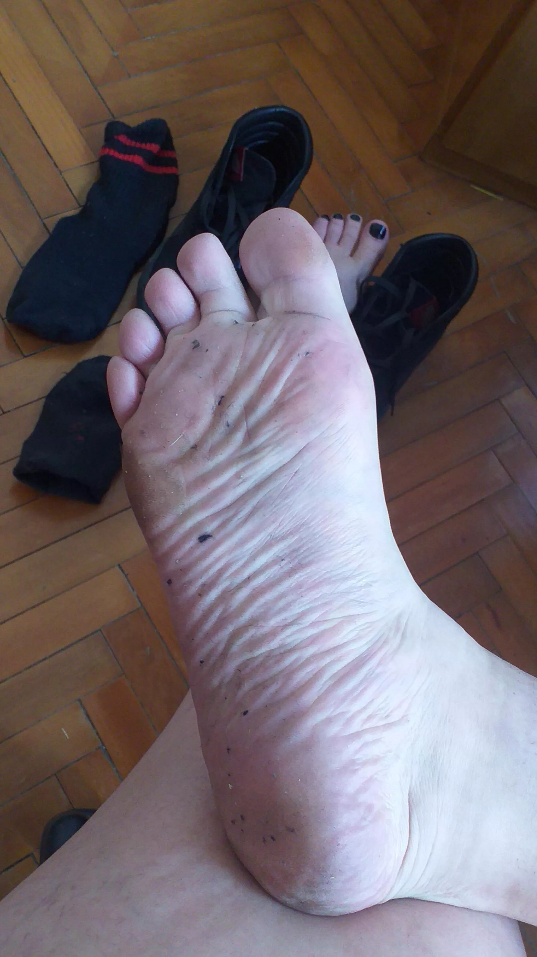 I know how bad you want to sniff them 😏