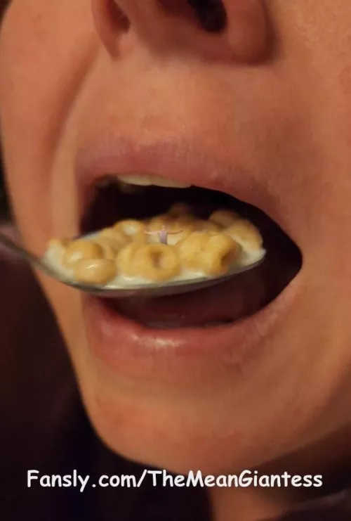 I think hes accepted his new role as my food. 😉