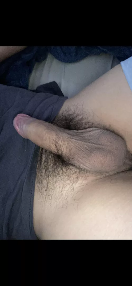 Looking for sloppy[90045]head 