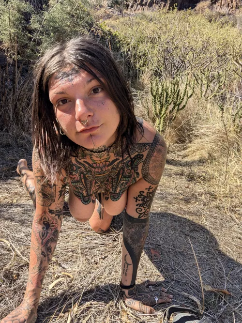 melting away in the heat [p]