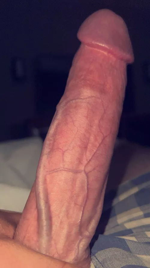 Needing to release some pressure this week in Bozeman, hmu if you think you can help🫣😈