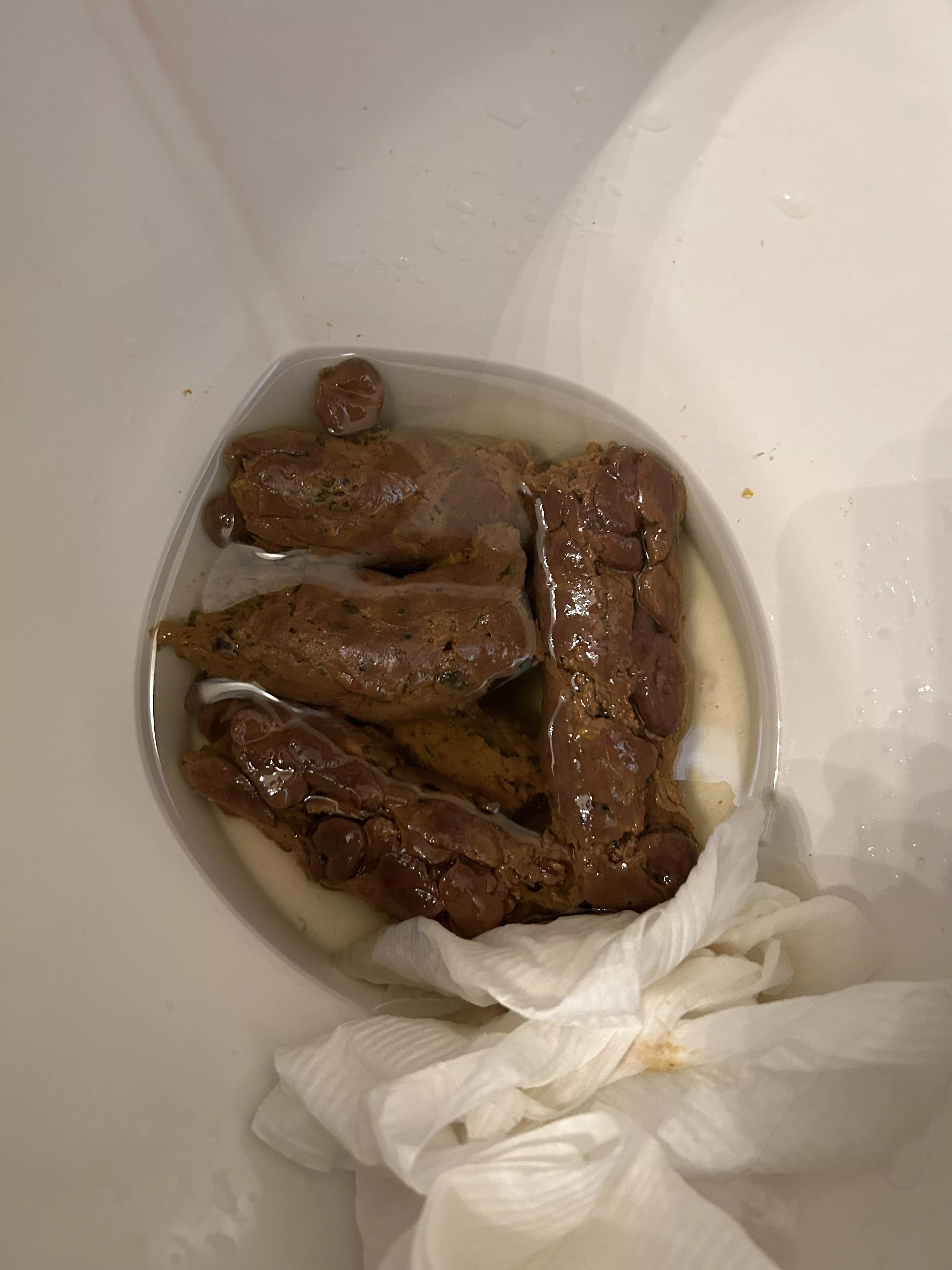 scat diary for sale, new shits every day ;))