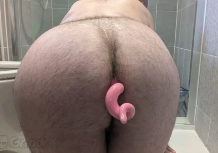 Sissy sow looking to be feminised 