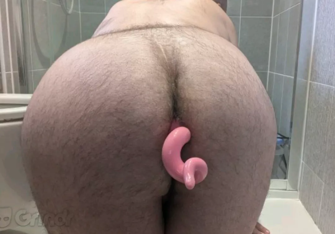 Sissy sow looking to be feminised 