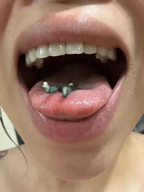 Take a nap right here…