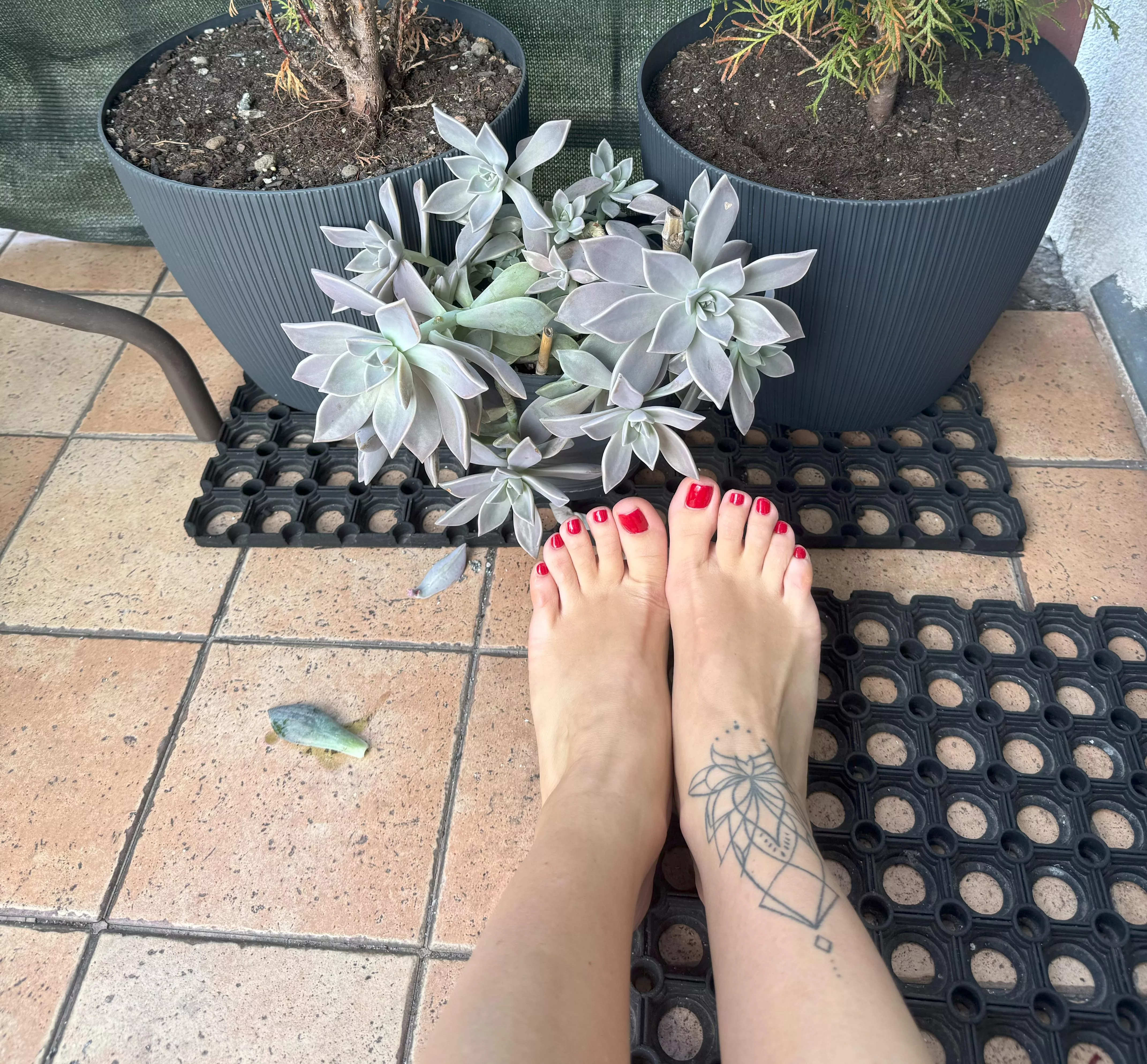 These feet need your attention