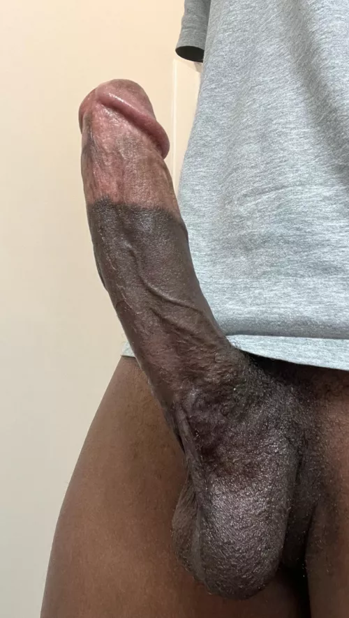 two tone cocks that stand up are better