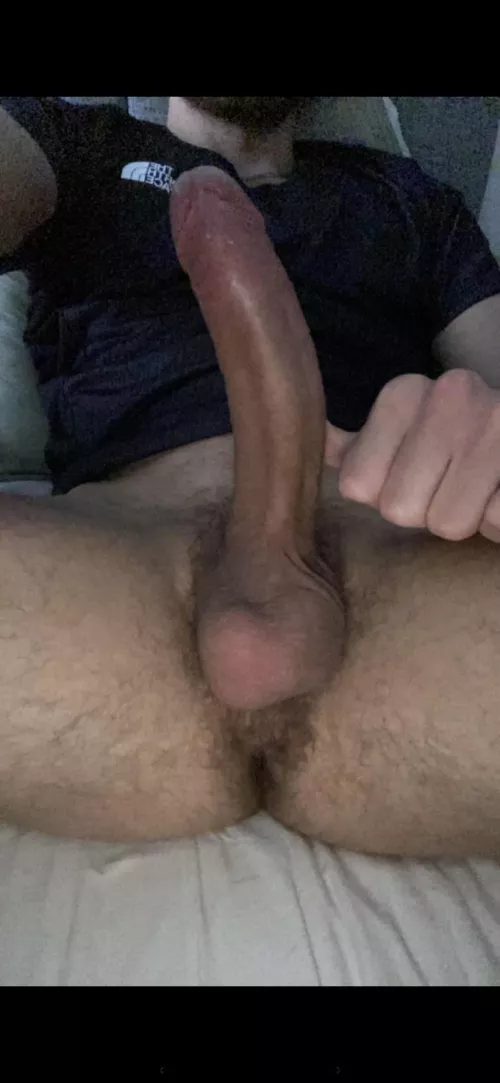 Type of cock that makes you cum hands free 