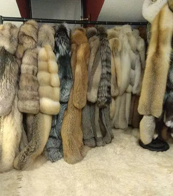 Which one would you pleasure yourself with?