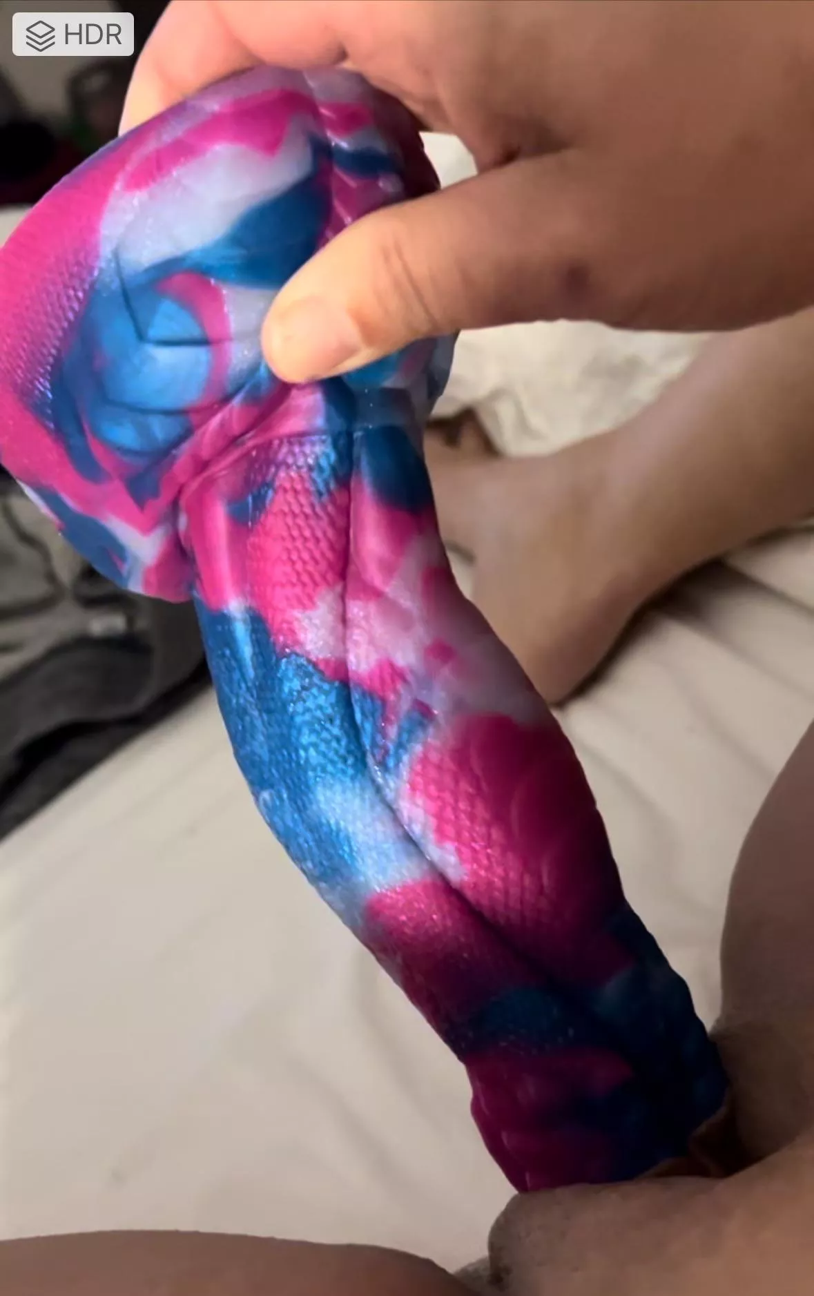 Who wants to try my toy?!?! 