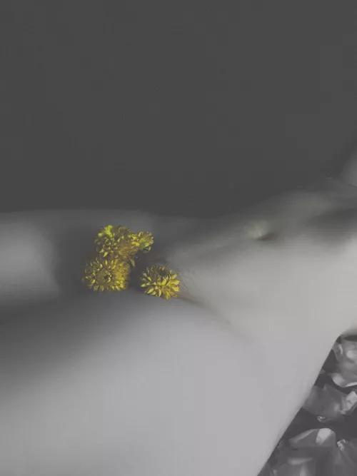 Will you gather flowers with me?