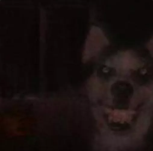 You know what fuck you 