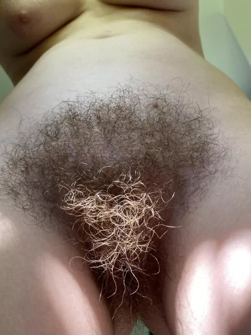 you like my bush?
