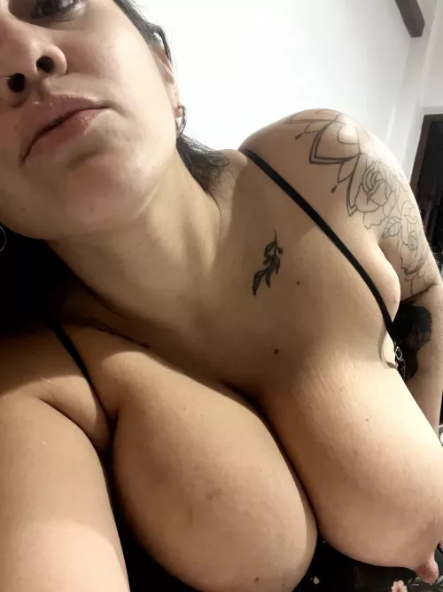 You won't find something huger than this