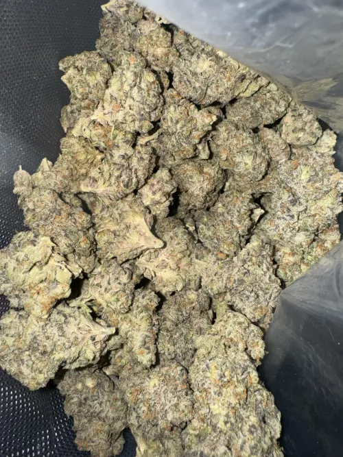 💪🏽💪🏽💪🏽