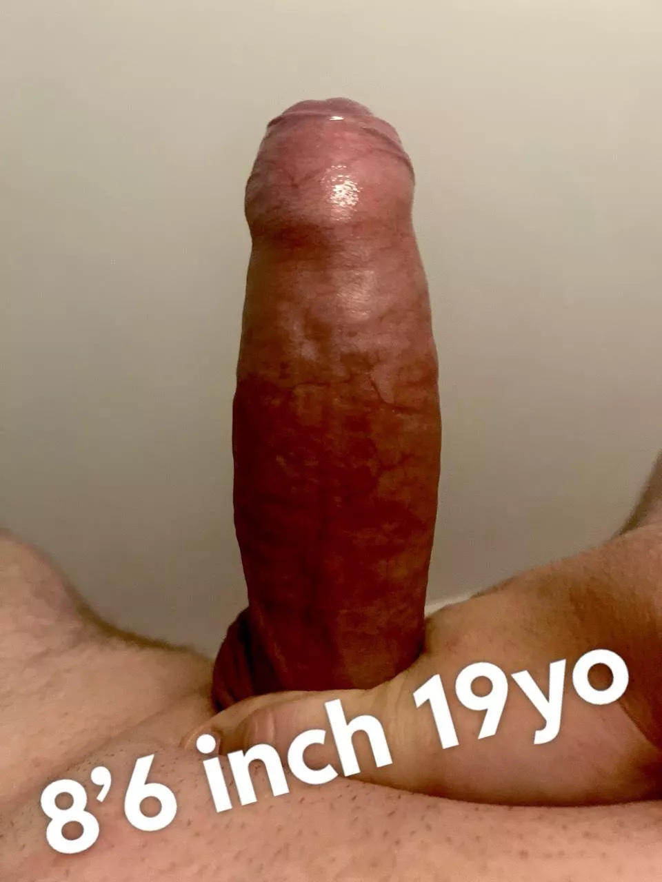 19 BWC