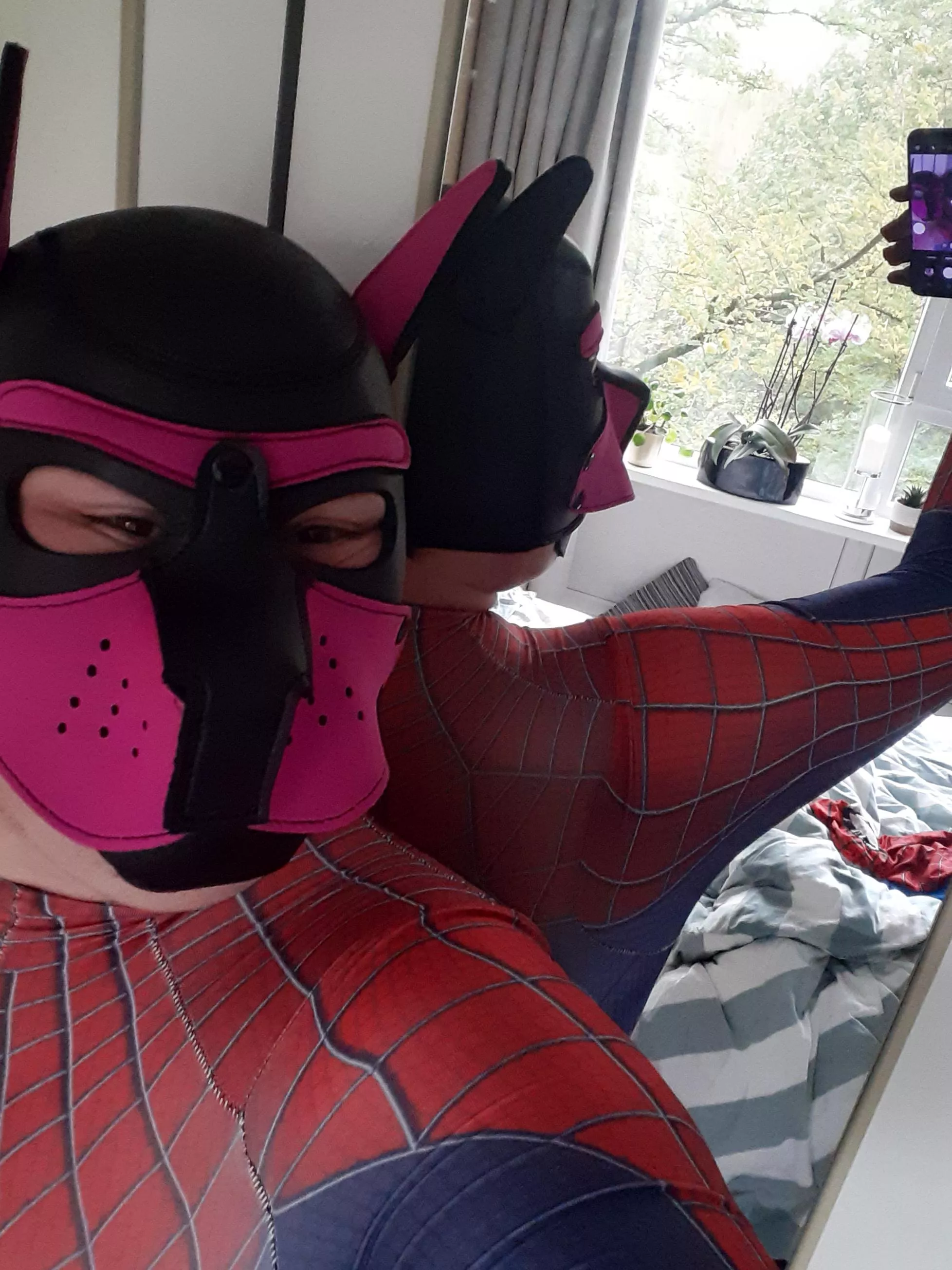 2 different angles of spiderpup 