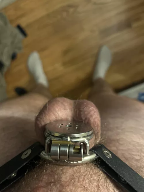 25m locked. Send compares for when I wake up.😉😉some bets welcome