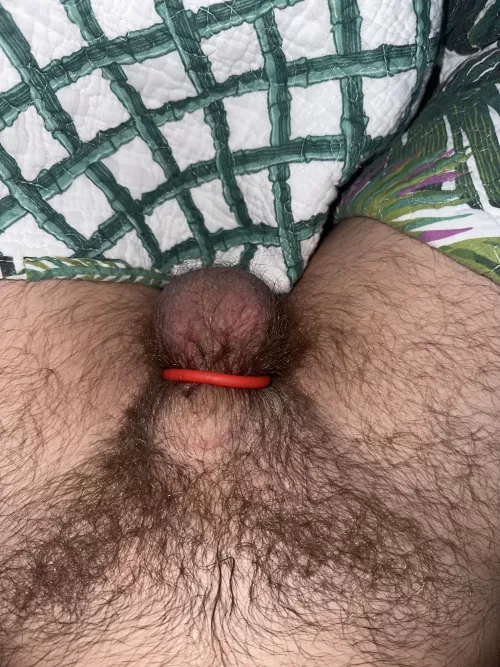 26 M4M - tucked and horny