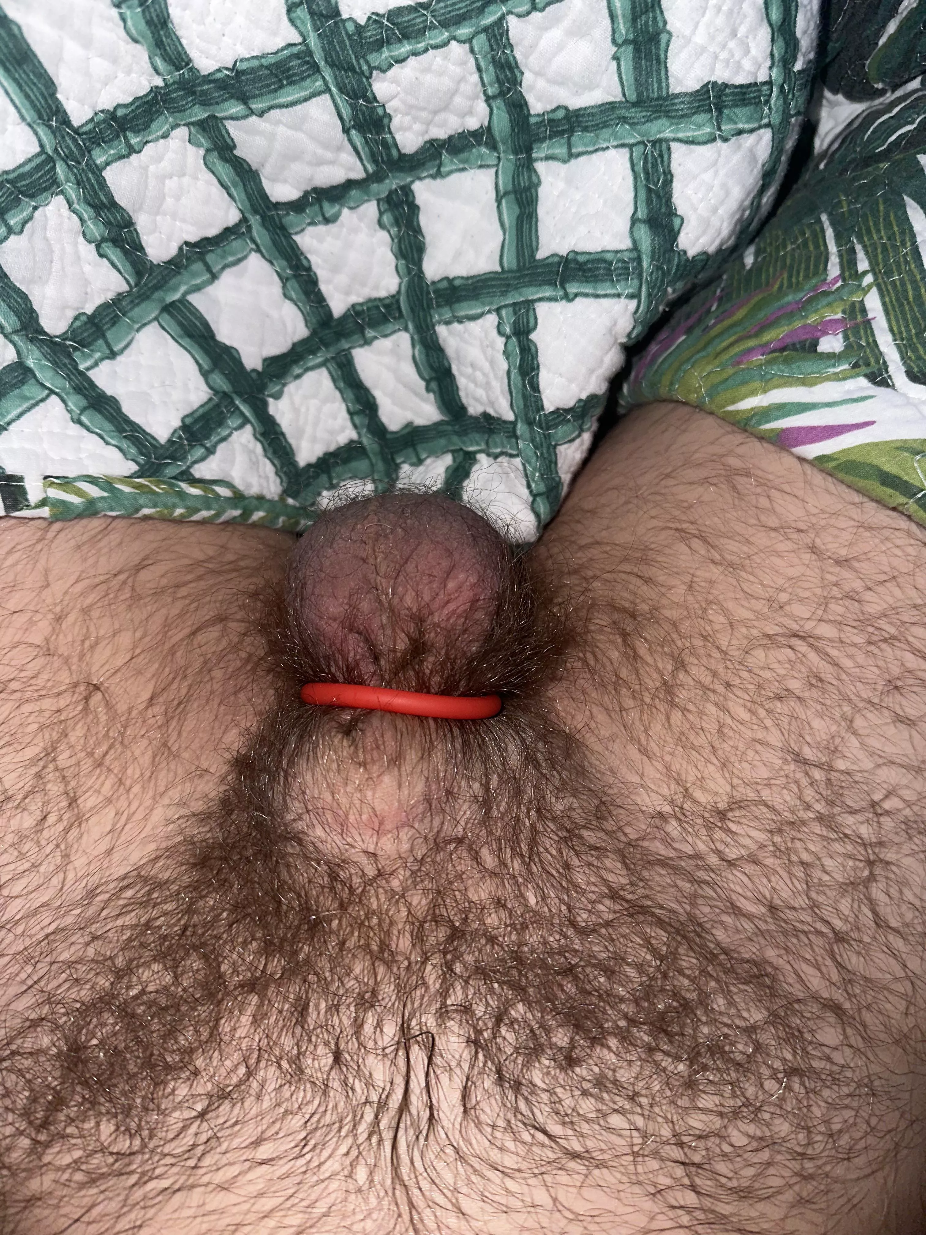 26 M4M - tucked and horny