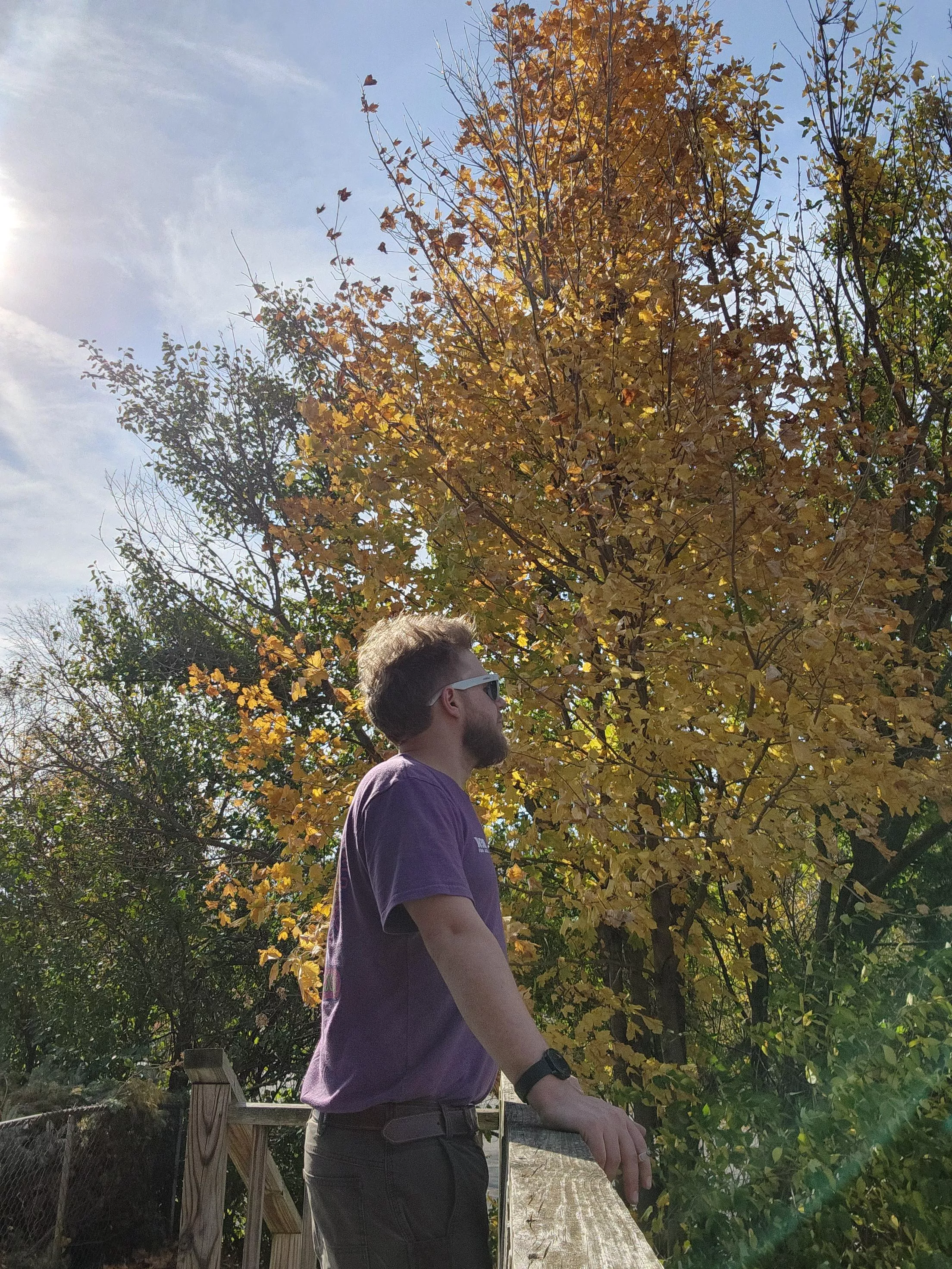 30 m4f indianapolis 100 if you can make me cum