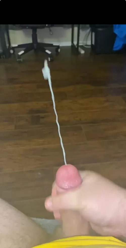 A big load for the Airbnb floor…(34)