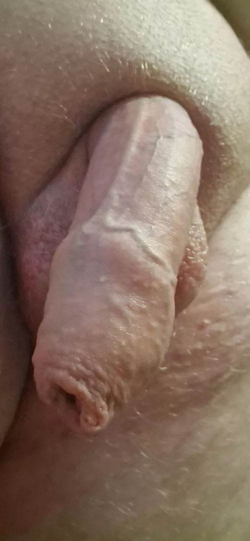 Another photo for you