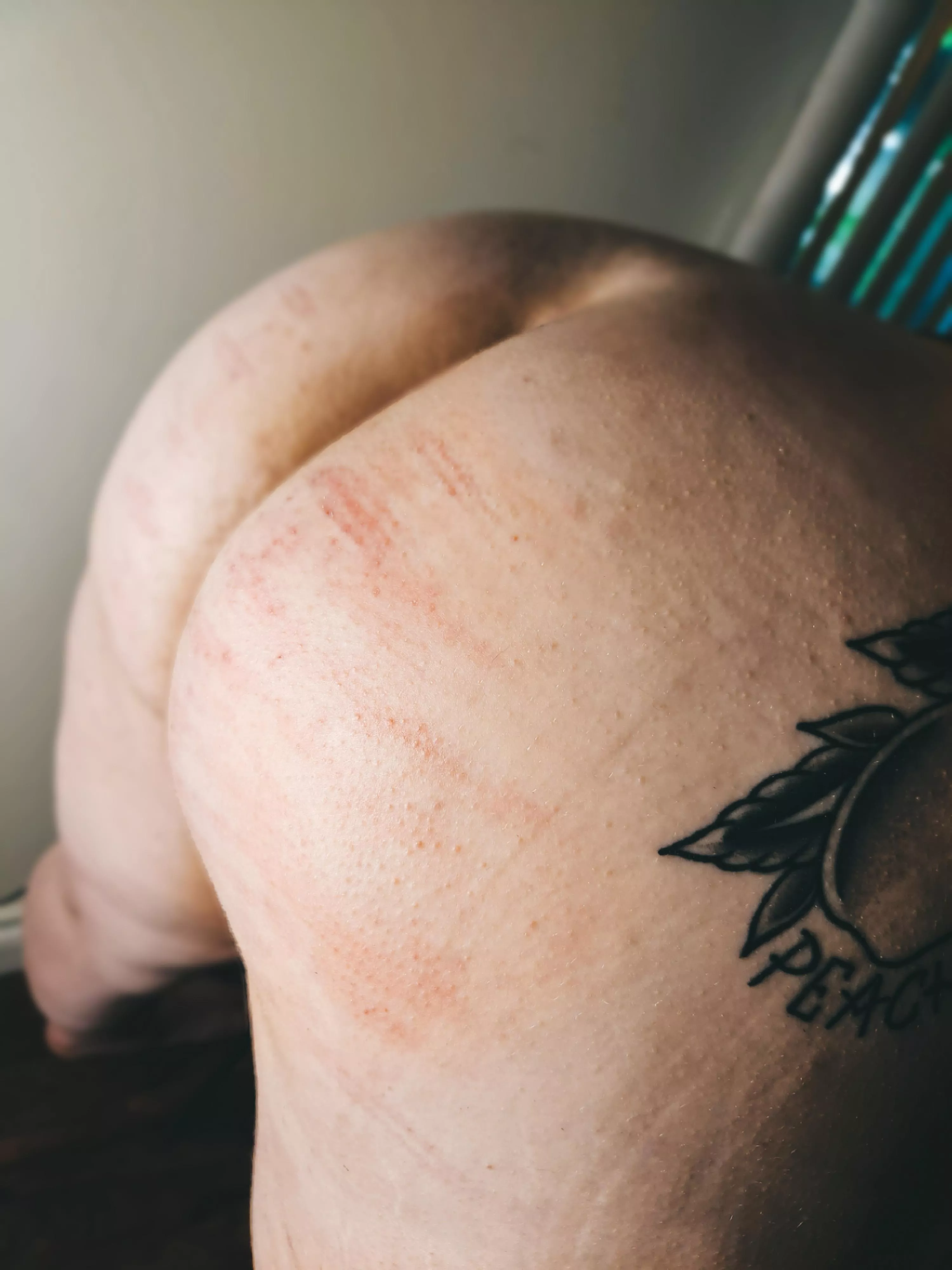 Bamboo shoot 💥💥