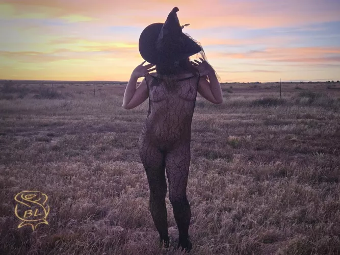 Bewitched in the Land of Enchantment